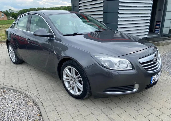 orneta Opel Insignia cena 29999 przebieg: 164000, rok produkcji 2009 z Orneta